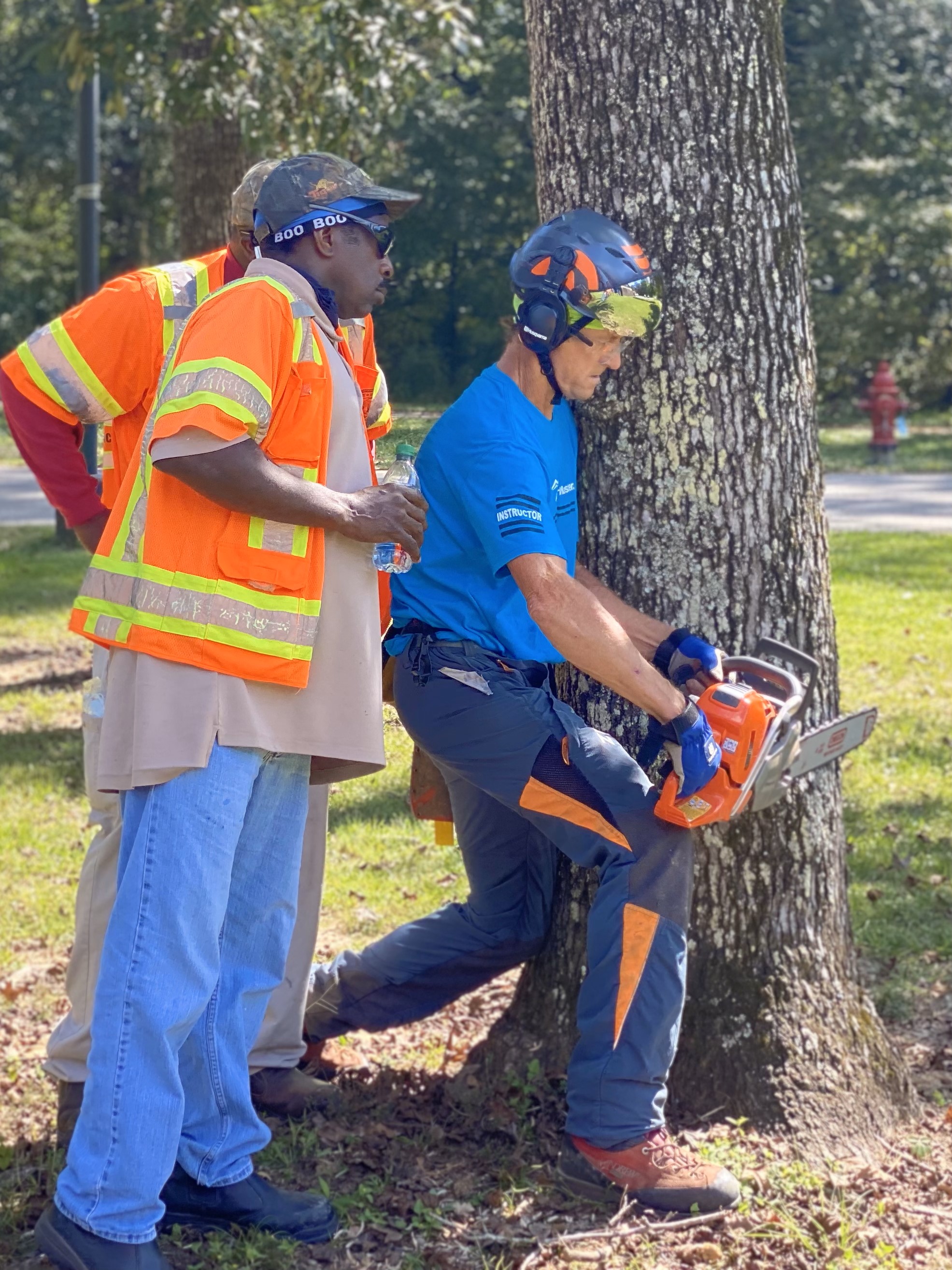Chainsaw Safety